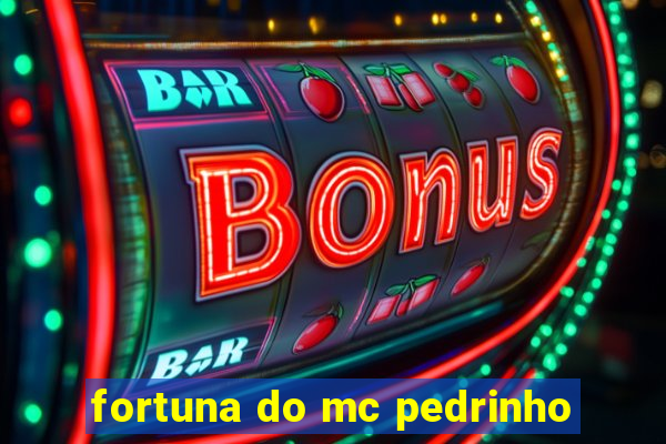 fortuna do mc pedrinho